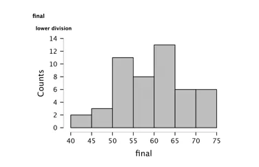 Lower Division